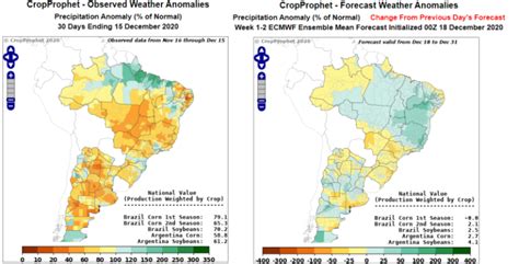 Argentina Soybean Yield Forecasts Grain Trading Insights