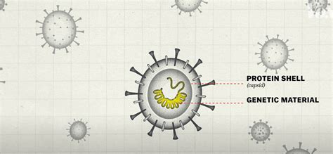 Why so many Covid-19 variants are showing up now – Caribbean Med Labs Foundation