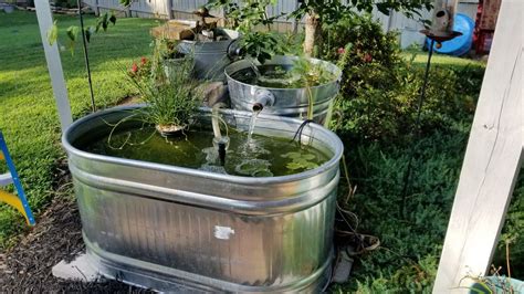 Galvanized Bucket And Stock Tank Pond Has Bio Filter And Fish