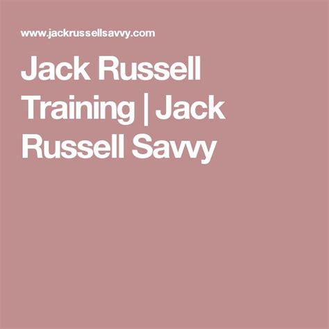 Jack Russell Training | Jack Russell Savvy | Jack russell, Train, Jack