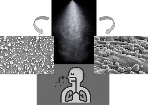 Nanomaterials Free Full Text Monitoring And Optimisation Of Ag Nanoparticle Spray Coating On