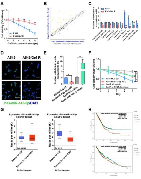 MiR 145 5p Modulates Gefitinib Resistance By Targeting NRAS And MEST In