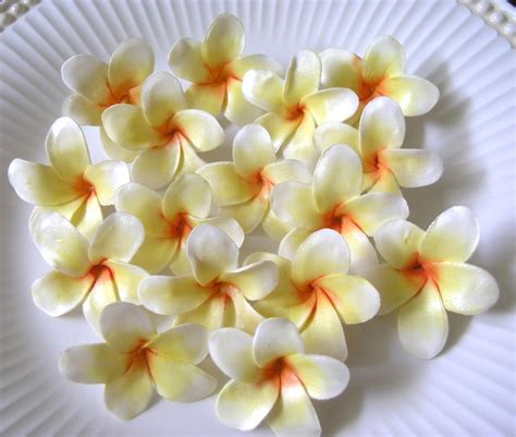 Frangipani Plumeria Cupcakes Decoration Plumeria Gum Paste