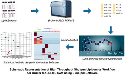 High Throughput Shotgun Lipidomics Analysis With Simlipid Software