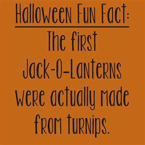 halloween fun fact chandi kesler photography