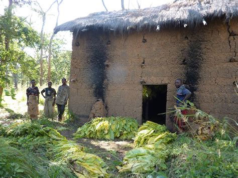 Tobacco hurts more than just your lungs – it damages the communities ... 