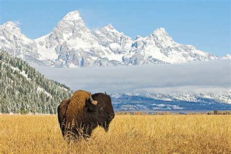 An Ideal Day In Grand Teton National Park The Cloudveil