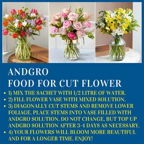fresh cut flower food 8