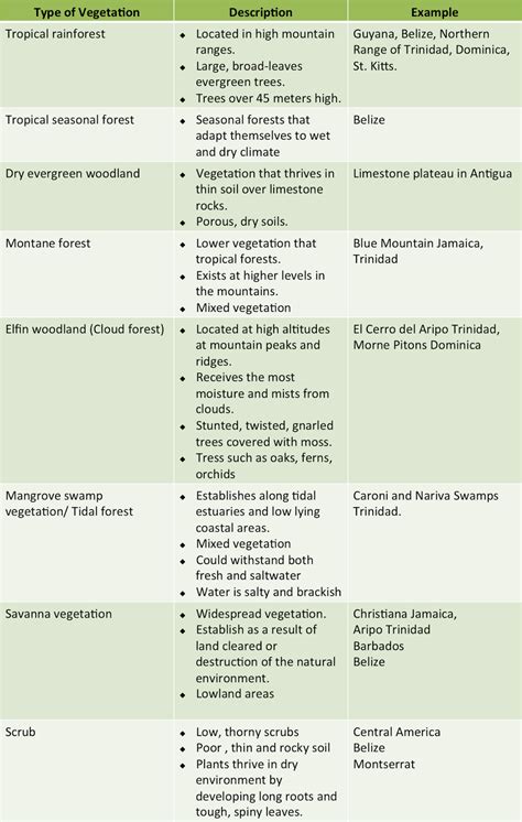 Weather and Climate: Tropical Marine Climates