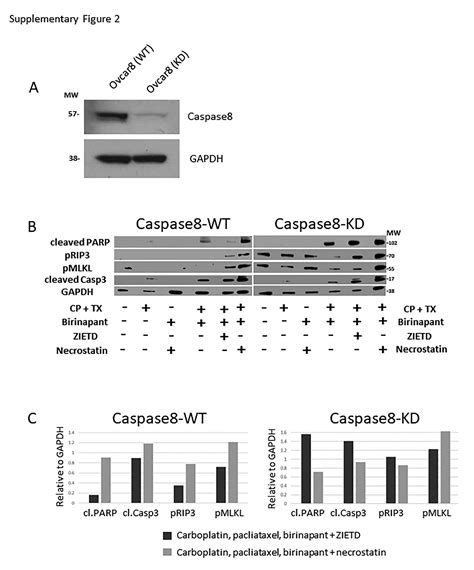 Smac Mimetic Enhances Antitumor Effect Of Standard Chemotherapy In