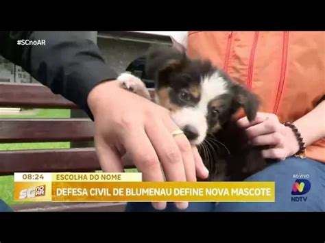 Blumenau lança concurso para escolha do nome da nova mascote da Defesa