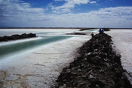 Salt - Wikipedia