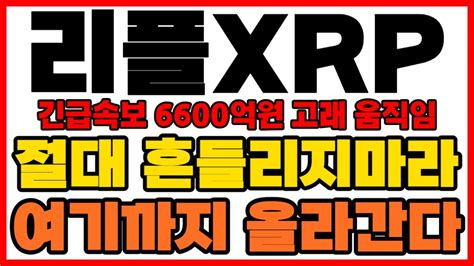 리플코인 긴급속보 6600억원 고래 움직임 포착 절대 흔들리지마세요 여기까지 무조건 올라간다 Youtube