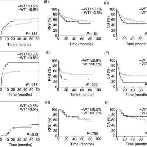 Cir Rfs And Os Rates Of Wt And Wt Groups Of Adults With