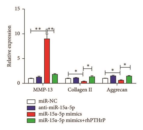 MiR 15a 5p Regulates Chondrocyte Proliferation And Differentiation By