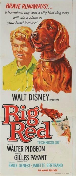 Big Red : The Film Poster Gallery