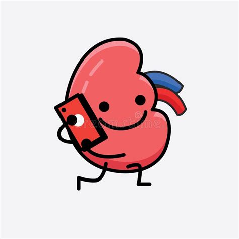 Vector Illustration Of Kidney Character With Cute Face And Simple Body