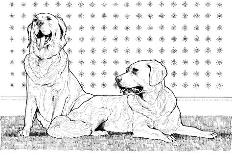 Coloring Pages Of Golden Retrievers