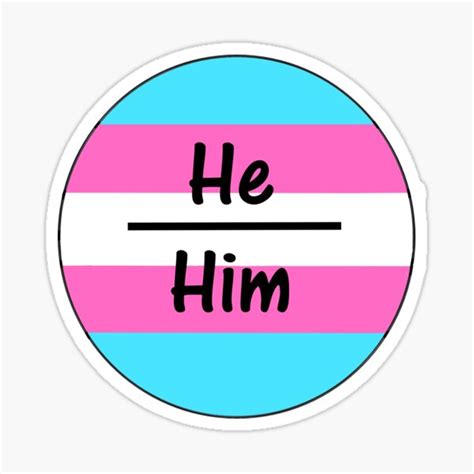 Pack Of 3 Colorful Vinyl Stickers HeHim Pronoun Stickers Bumper