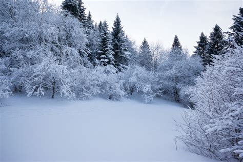 Itinéraire raquettes autour de Thollon Thollon Les Memises HIVER