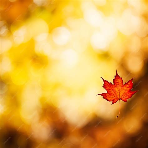 Premium AI Image | Abstract fall background with maple leaf seasonal ...