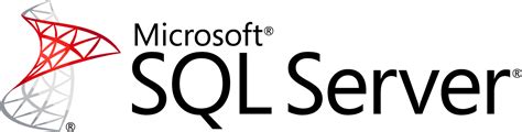 Sql Server Logo Big Intelligent Dynamics Inc