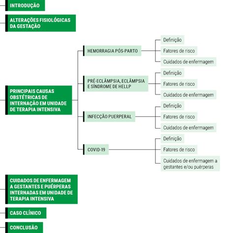 ATENÇÃO À GESTANTE DE ALTO RISCO E À PUÉRPERA NO CONTEXTO DA TERAPIA