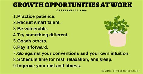 13 Leadership Hacks for Growth Opportunities at Work - CareerCliff 