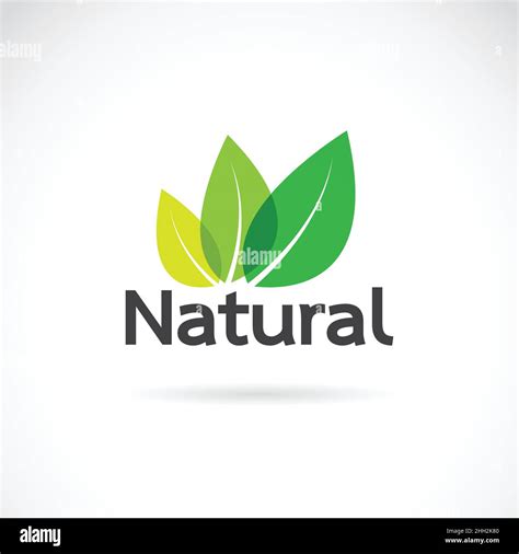 Natural Logo Design Vector Template On White Background Leaf Icon