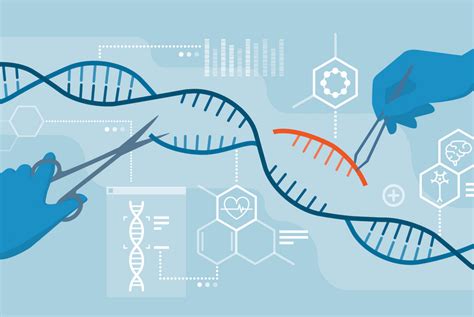 Crispr Gene Editing Prompts Chaos In Dna Of Human Embryos The