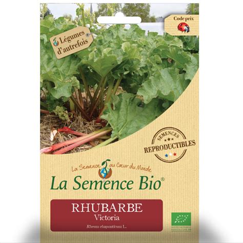 Rhubarbe Victoria Les Graines Bio Jaime Jardiner