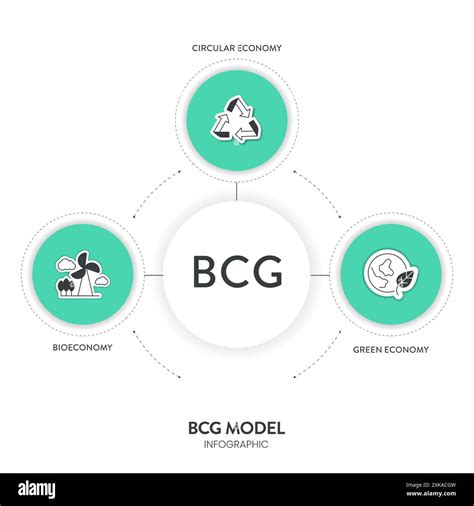 Bcg Model Strategy Infographic Diagram Chart Banner Template For