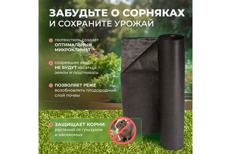 Геотекстиль 80 40 м² Baerpack 000943 - выгодная цена, отзывы ...