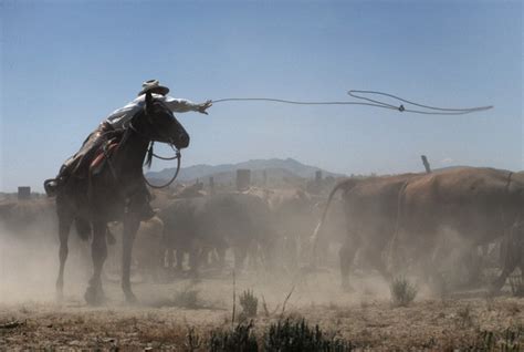 Cowboy Kurt Markus