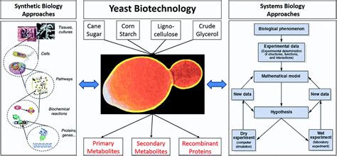 Perspective Combining Polygenic Trait Analysis With Synthetic Biology