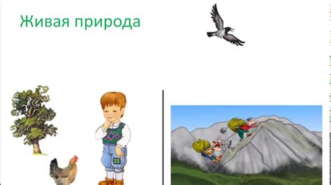 Живая и неживая природа. Сайт - игра Разумейкин - YouTube
