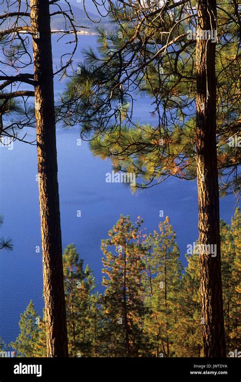 Franklin D Roosevelt Lake, Lake Roosevelt National Recreation Area, Washington Stock Photo - Alamy