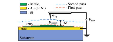 Scheme Of Surface Potential Measurement By Kelvin Probe Force