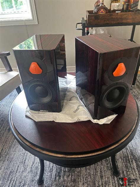 Dynaudio Special Forty Black Vine Mint Purchased New Oct 2023