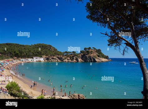 Cala Castell Palamós Costa Brava Catalonia Spain Europe Stock