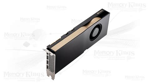 NVIDIA QUADRO RTX A5000 24GB 384bit PNY - Memory Kings, lo mejor en ...
