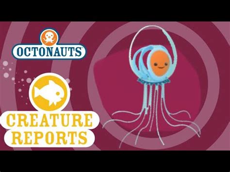 Octonauts Creature Reports Immortal Jellyfish YouTube