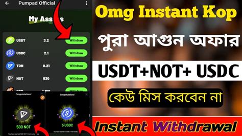 Instant Payment Offer Instant Usdt Not Coin Income Unlimited Usdt