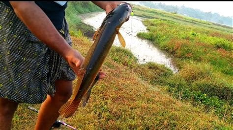 Traditional Fishing In Kerala Youtube