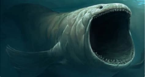 Giant Sea Creature? Icequake? What Was "The Bloop?" [Video] - Wide Open ...