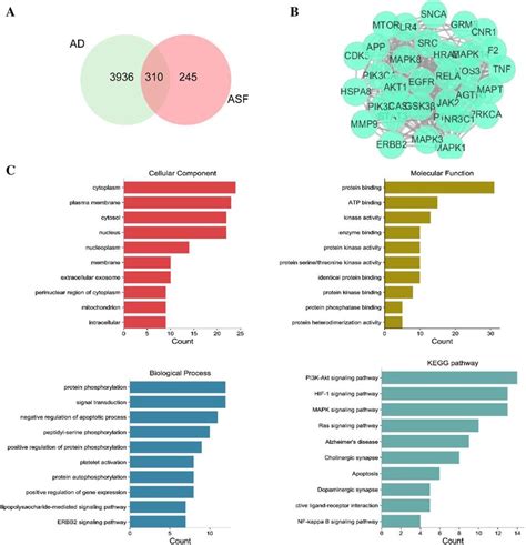 The Integrated Network Pharmacology Analysis Indicated The Potential Download Scientific