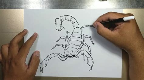 How To Draw Scorpion In 5 Minutes Youtube