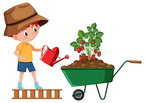 Un niño regando una planta de fresas en una carretilla Vector Premium