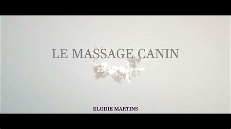 Le Massage Canin Initiations Et Formations Professionnelles Youtube