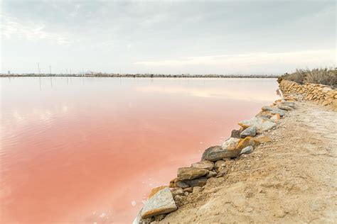 Salinas Y Arenales De San Pedro Del Pinatar Costa Cálida Ck Fischer